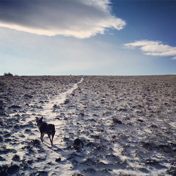 As you near the ridge, the singletrack delivers on a promise of fantastic views.