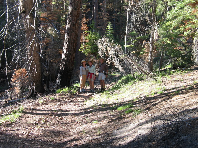 On the Uncle Jim Trail, North Rim of the Grand Canyon.  (Photo by Bryan Dougherty)