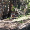 On the Uncle Jim Trail, North Rim of the Grand Canyon.  (Photo by Bryan Dougherty)