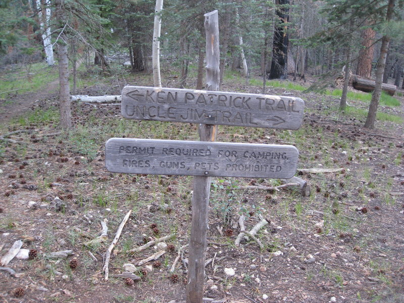 Trail junction - where Uncle Jim Trail leaves Ken Patrick Trail