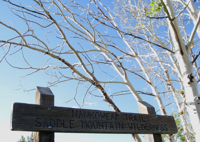 Saddle Mountain sign (photo by brewbooks)