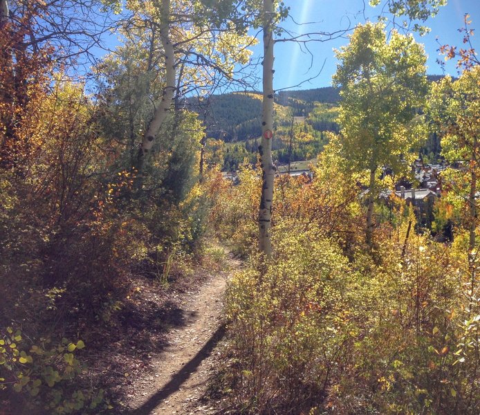 Early fall run on Buddy's Way.