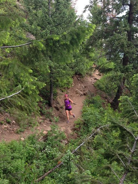 Recovering on a mellow stretch midway up Ute Trail