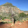 Junction of Hermit Trail and Waldron Trail (NPS photo by Michael Quinn)