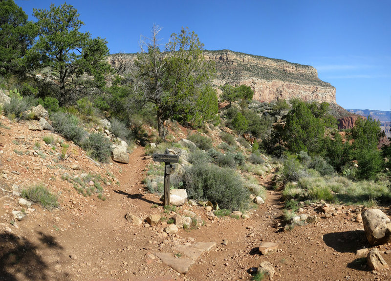 Junction of Hermit Trail and Dripping Springs Trail  (NPS Photo by Michael Quinn)