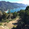 View of the Cinque Terre coastline from the ascent up Punta Mesco