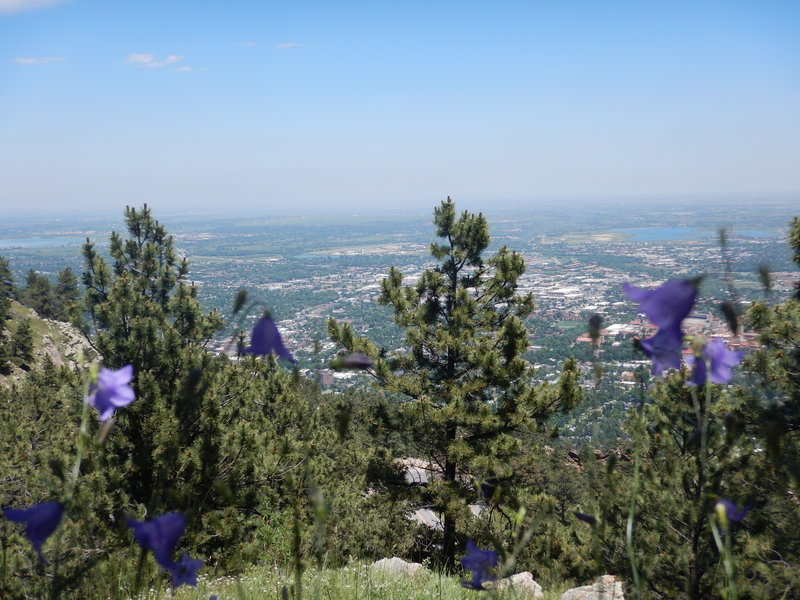 Nice views over the town Boulder