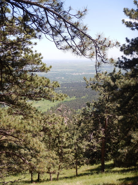 One last view through the trees from the Plains Overlook Trail