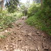 The rocky start to the Amphitheater Trail