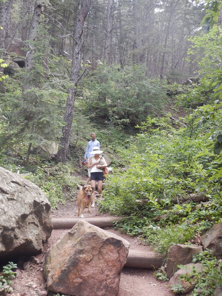 The "stairmaster" section of the Amphitheater Trail