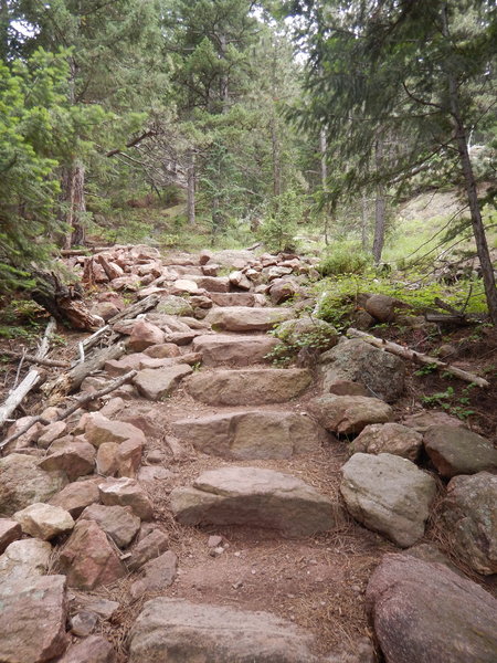 The Saddle Rock Trail has a lot of nicely built stairs