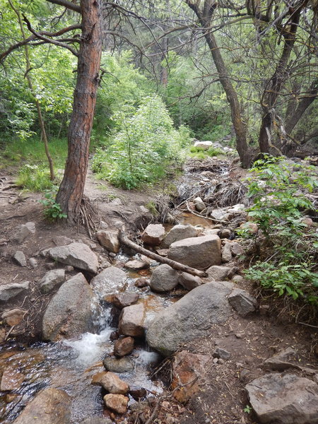 Hop across rocks here to cross the stream.  There is a lot of flood debris scattered around here.