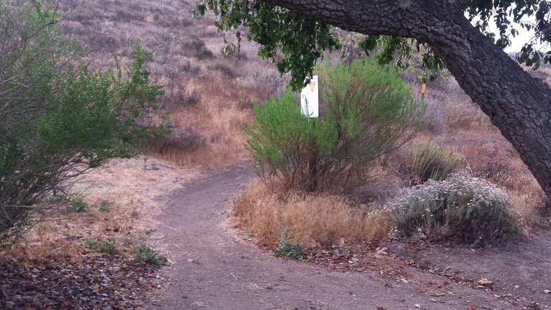 Lower Butte trailhead