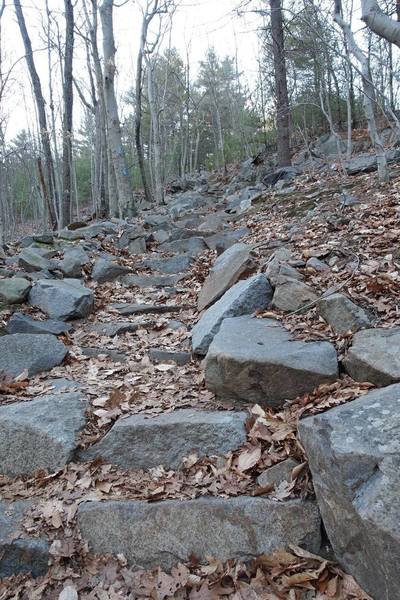 Stone steps