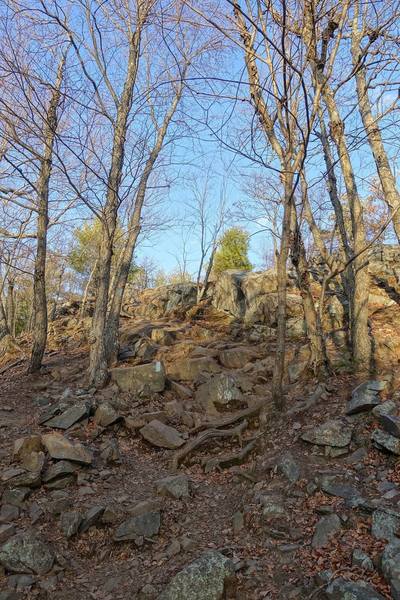 Steep rocky section