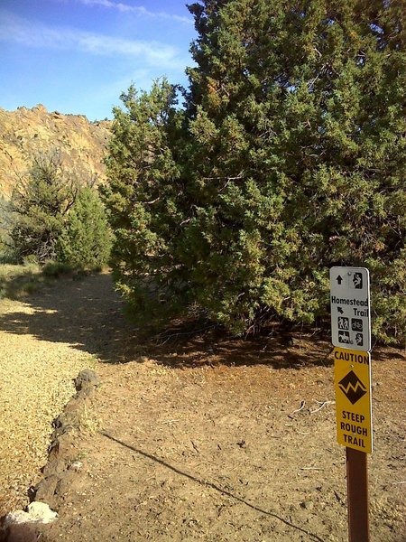 Trail breaks left. Steep rough terrain.