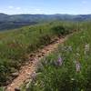 As you might guess, the Summit Loop has some of the best views in the area.