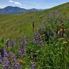 Beautiful scenery on the Hayden Trail.