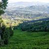 The trail weaves in and out of the canopy and on the switchback, peeks out for this clear view of the valley below.