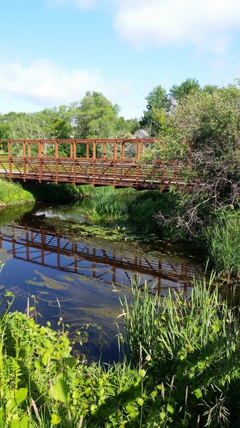 View of the bridge near the east end of the trail