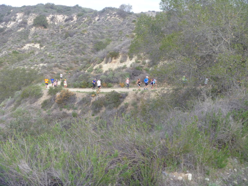 On the way up Paw Foot/Live Oak Canyon