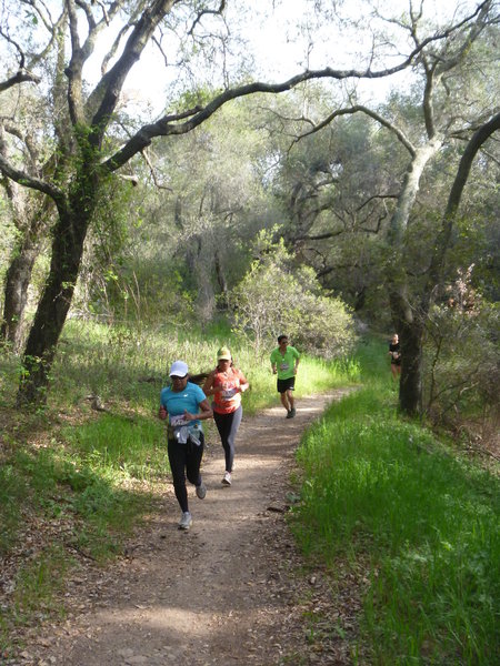 SingleTrack Trail!