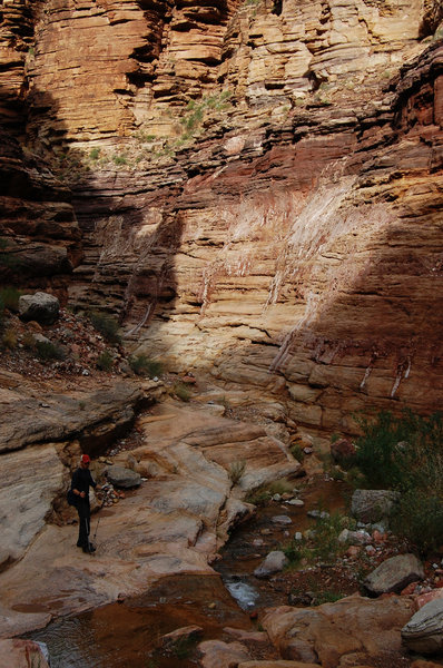 Deep in the Hermit Creek canyon