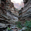 Enjoying the shade and views along the Lower Hermit Trail