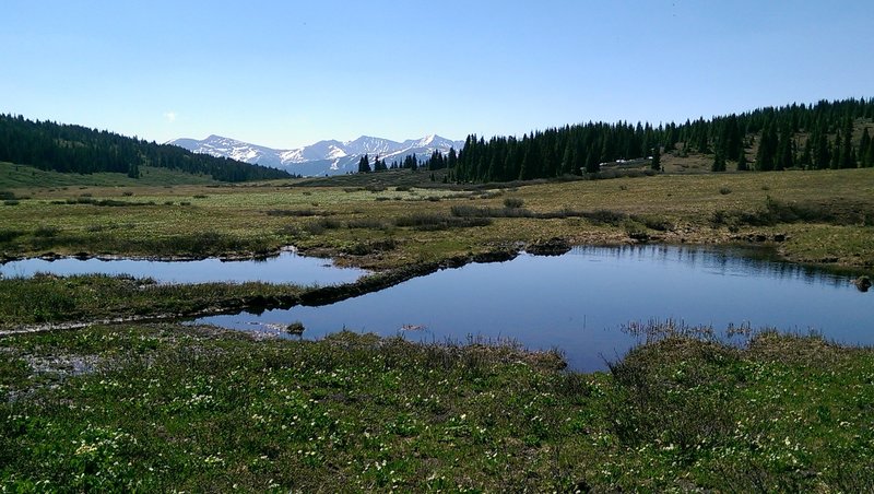 Two small boggy ponds along the Shrine Ridge Trail
