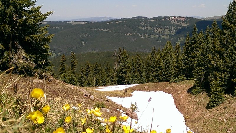 Views northwest from the shoulder of Shrine Mountain