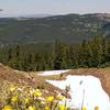 Views northwest from the shoulder of Shrine Mountain