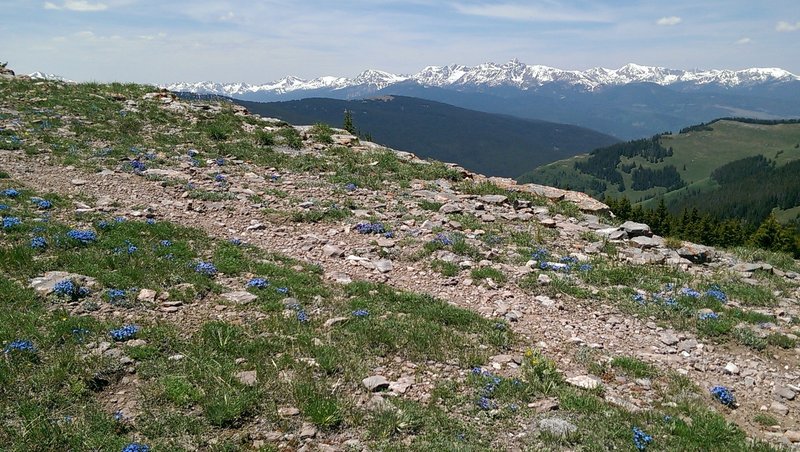 Great views of Mount of the Holy Cross in the background to the west