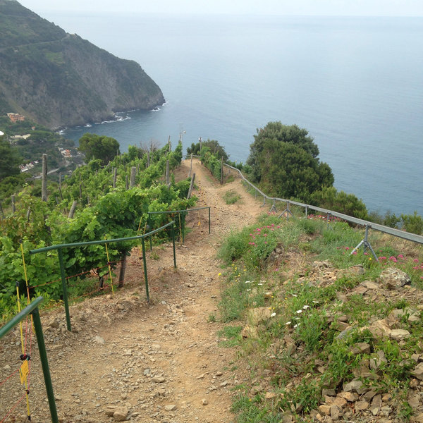 View on the climb to Corniolo Hill