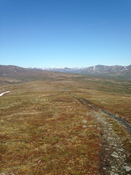 Looking down trail (north) after ascending behind King Mt.