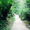 Lower MacLeay Trail along the creek.