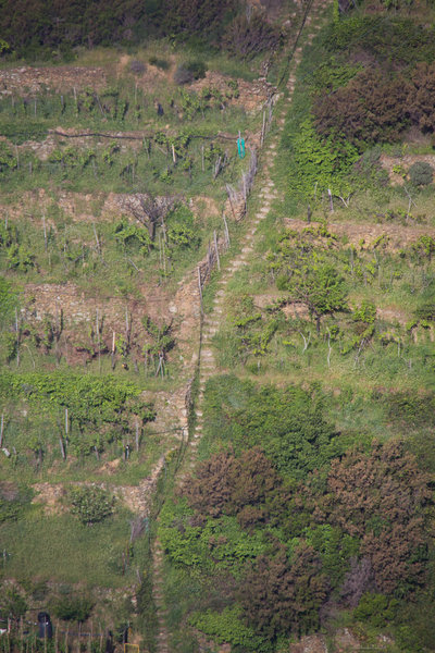 Steep stairs on the climb to Corniolo Hill