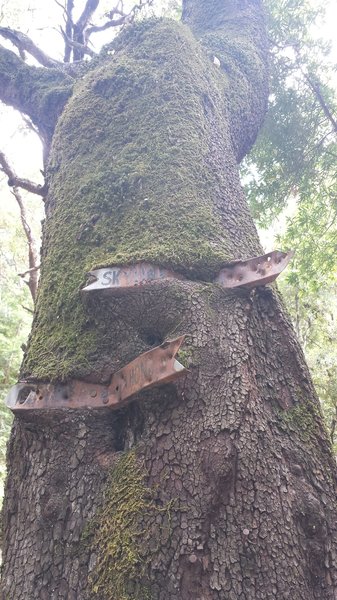 Very old trail signs at The Crossroads