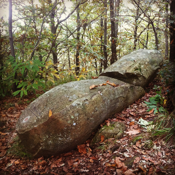 Menhir of Monte Capri