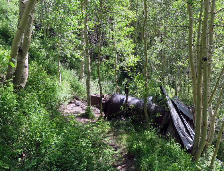 In a nice grove of aspen you'll find remains from the Grizzly Bear gold and silver Mine. Look across the canyon for the mine tailings.