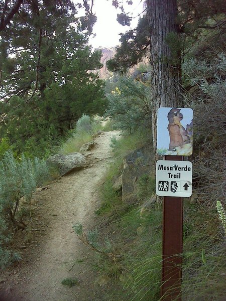 Intersection with River Trail