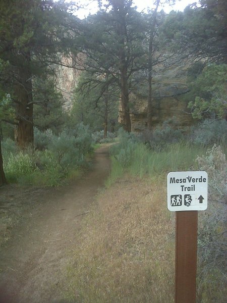 Intersection where River Trail Ends and Summit Trail begins, or take the Mesa Verde Trail to the Misery Ridge Trail.  Not well marked.