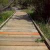 Board walk over creek.