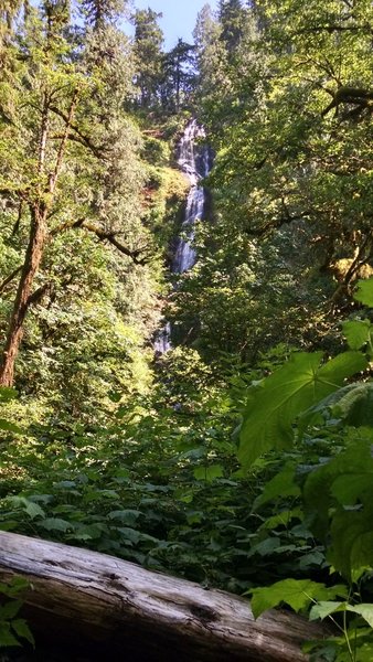 Munson Creek Falls