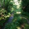 Trout Brook and singletrack