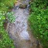 Looking down at Trout Brook from the foot bridge