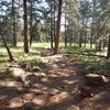 Wide, easy to follow Bluebell Mesa Trail