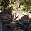 A lot of debris still clogging this stream from the 2013 flooding