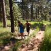 Braided trail at the start of the Woods Quarry Trail