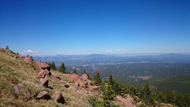 At the treeline looking west.