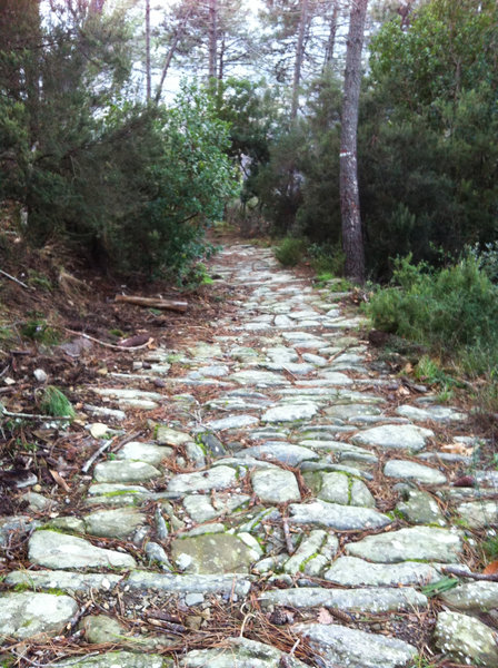 Old mule path to Soviore